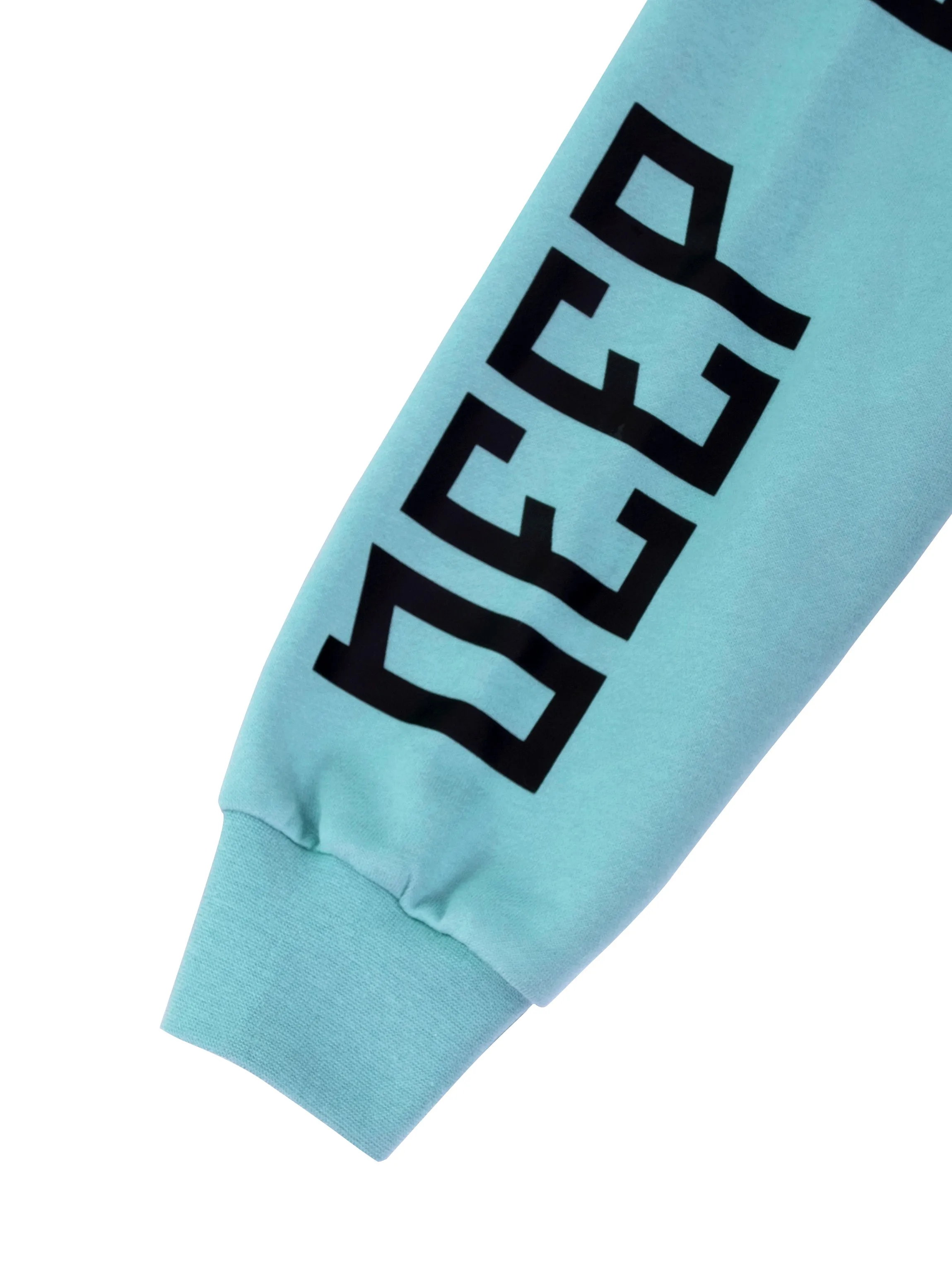 ARCTIC BLUE FLEECE PULLOVER HOODIE