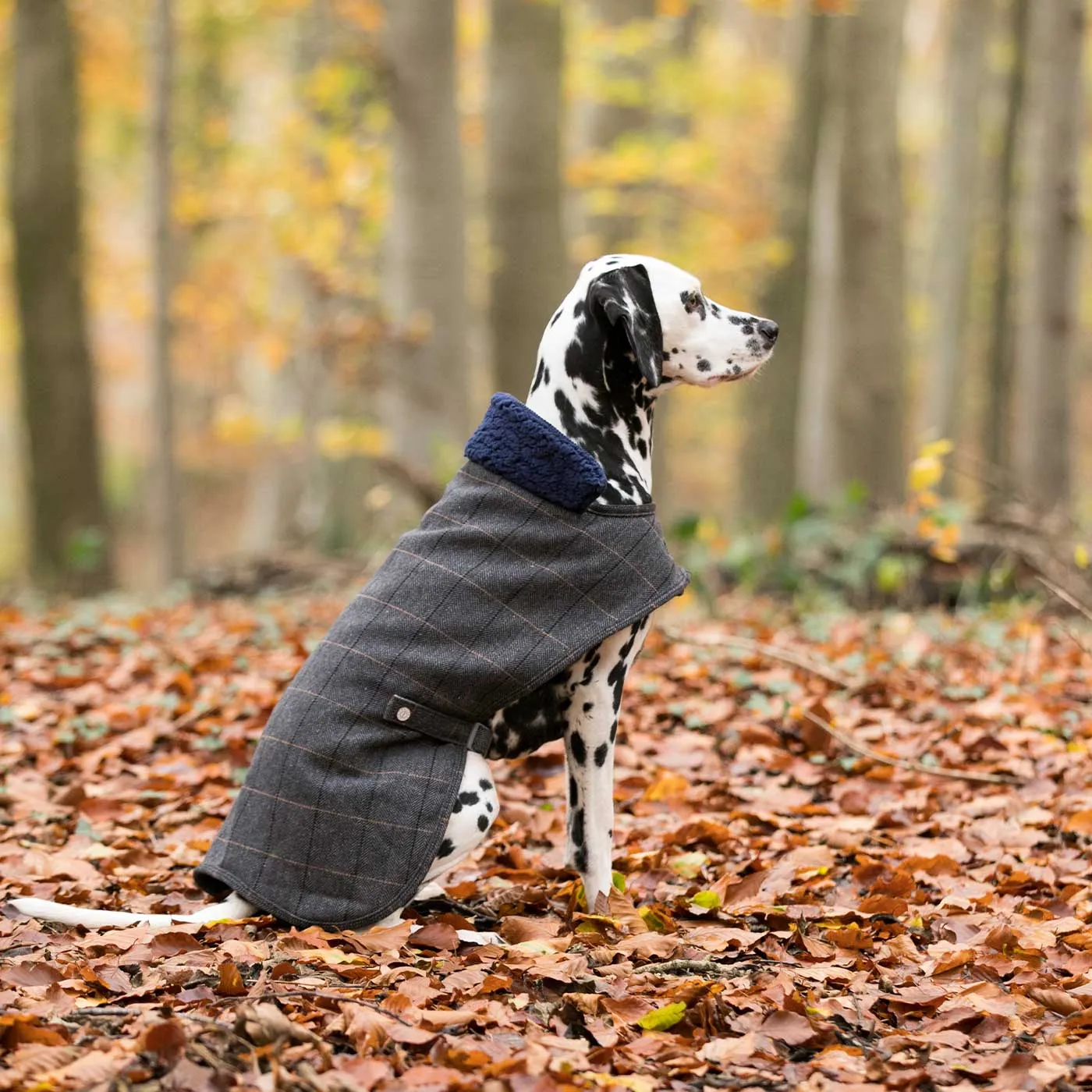 Hugo & Hudson Checked Tweed Jacket