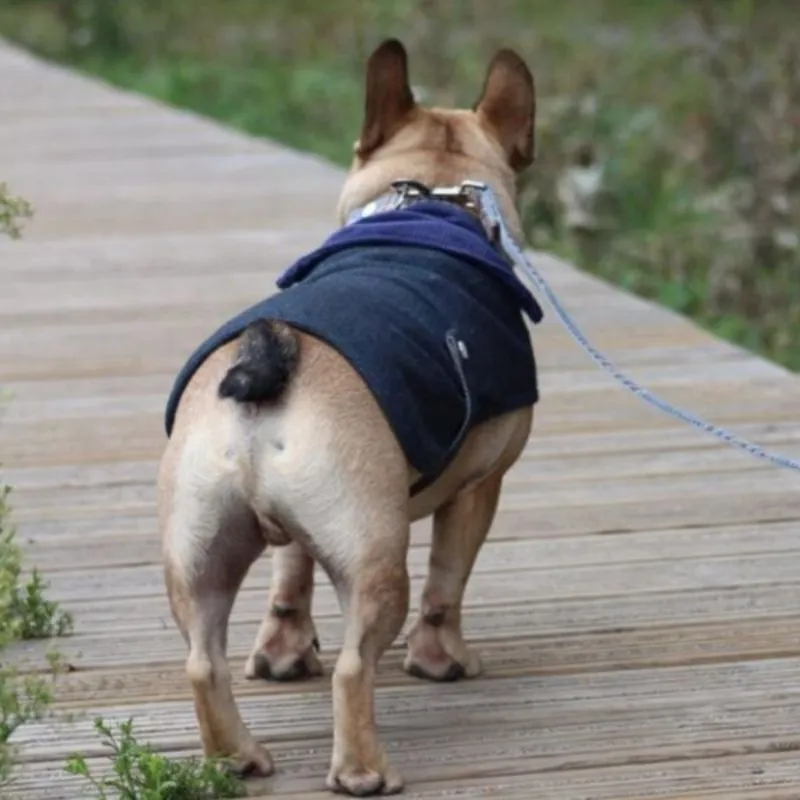 Navy Blue Tweed Dog Coat