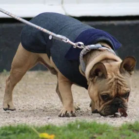 Navy Blue Tweed Dog Coat