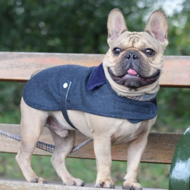 Navy Blue Tweed Dog Coat