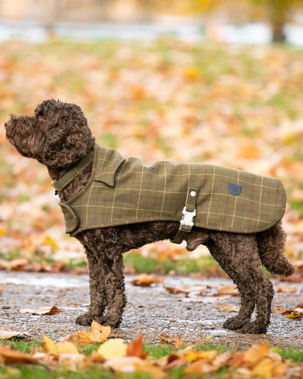 Tweed Fleece Dog Jacket - Dark Green Checked